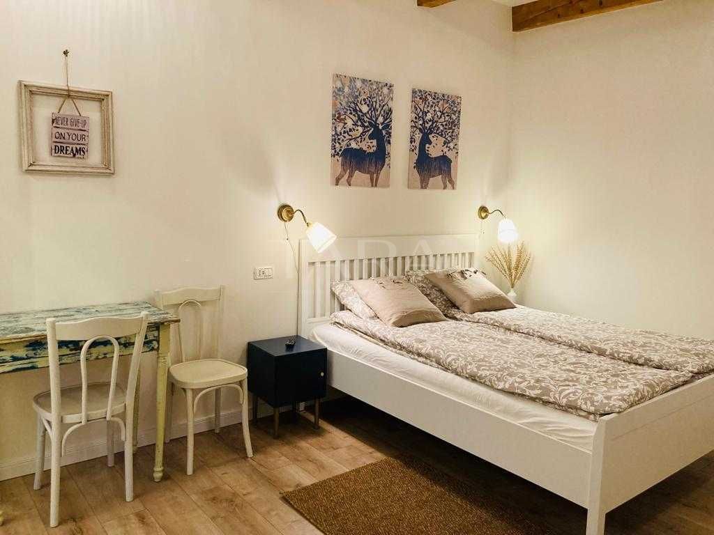 Casă cu 2 studiouri | Zona Horea | Ideal investiție - Poză 2