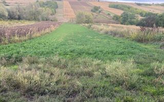 Teren intravilan de vânzare în Rusenii Noi, comuna Holboca, Iași - Poză 1