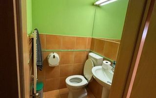 Spatiu comercial langa Medicina si Prefectura - Poză 11