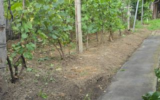 Casa individuala | 5 camere | 850 mp teren | Zona Binderbubi - Poză 40