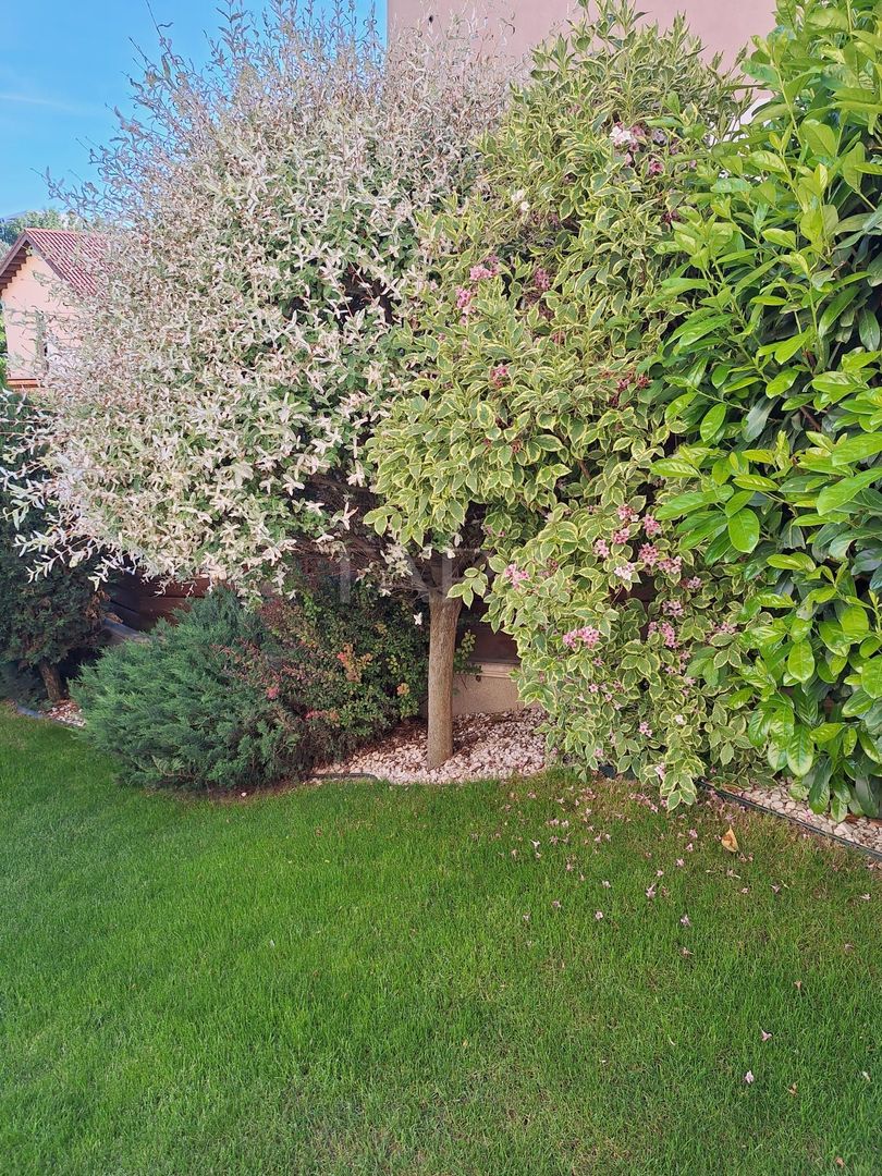 Casa deosebita, Gheorgheni-zona Iulius Mall - Poză 25