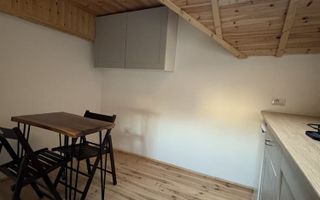 R1  | Studio  | Parcul Cismigiu - Poză 2