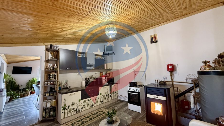 Casa cu teren generos/de vanzare/com Leu, Dolj - Poză 13