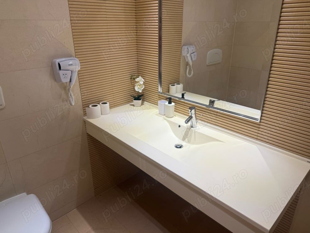 Garsonieră unicala de închiriat Rin Grand Hotel - Poză 4