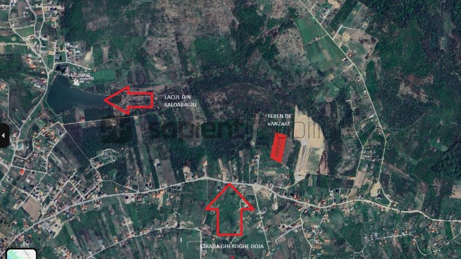 Sapient | Teren intravilan în Săldăbagiu de Munte 4.316 mp - Poză 1