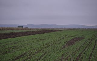 Teren extravilan | Gura raului | 2250 MP - Poză 1