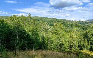 Casa,anexe si14.328 mp teren partial intravilan, com. Bulz, jud. Bihor - Poză 1