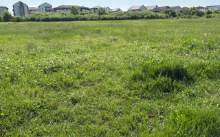 Teren 1239 mp front 29 in Aradul nou - Poză 8