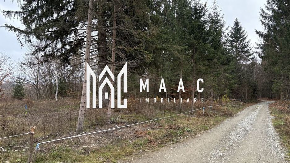 Teren intravilan | 2.000 mp |  Valea Avrigului - Poză 2