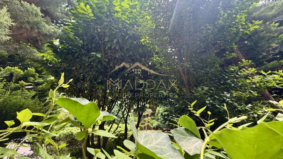 Apartament cu 5 camere parter + Gradina 100mp // Herastrau - Aviatiei - Poză 41