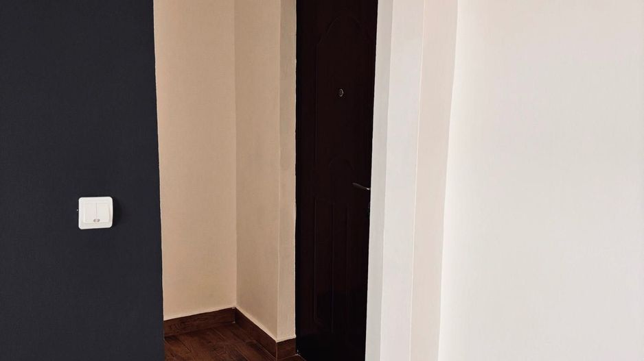 Calea Buziasului | 1 Camera | Recent renovat | Disponibil imediat - Poză 3