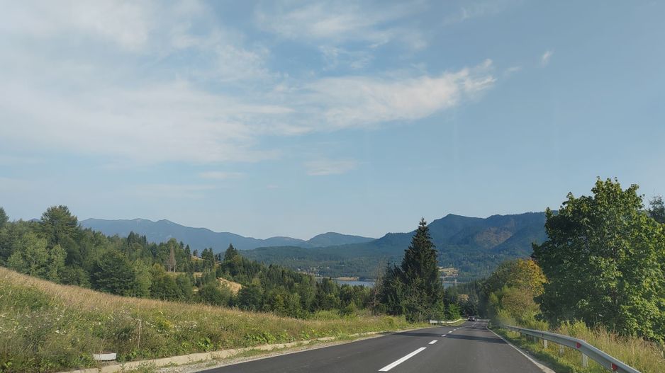 teren Colibita - 2 hectare - acces direct din drumul 173 D - Poză 3