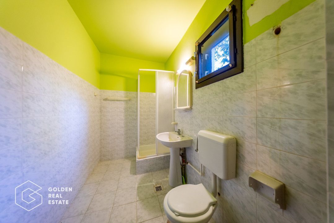 Casa de vacanta, localitatea Cladova, ideal pozitionata - Poză 9