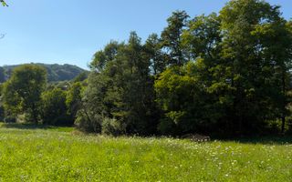 Teren Parau | Valea Danului, Curtea de Arges | Vidraru | - Poză 8
