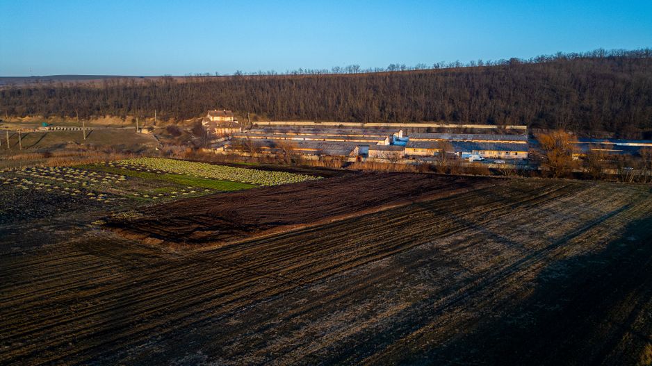 Fosta Ferma a Partidului de la Horgesti - de vanzare - Poză 9