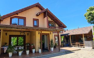 Vand Casa 2 corpuri, P+E, Romanilor, 4 cam, curte, zona de gratar, etc - Poză 26