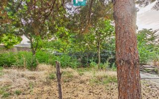 Casă modestă cu 3 camere din văiugă în Bătania - Poză 6
