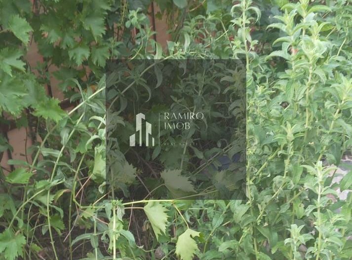 Casa 3 camere Ilfov Glina - Poză 15