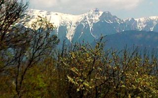teren intravilan in zona Magura Bran - Poză 1