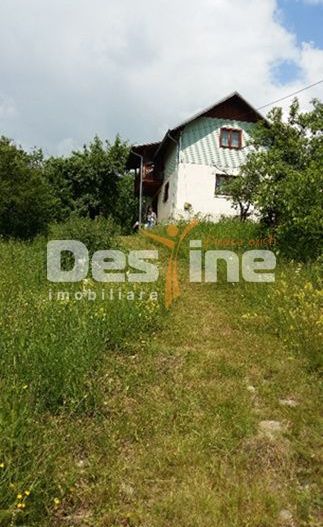 Drajna de Jos 5000 mp Teren +Casa demolabila ! - Poză 1