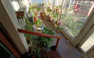 Casa de vanzare in Vladimirescu in zona primariei. - Poză 30