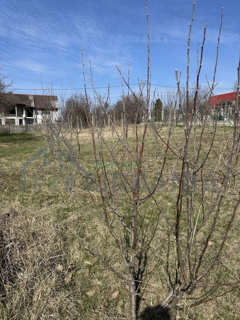 Teren intravilan de vânzare în centrul comunei Bârnova, Iași - Poză 5