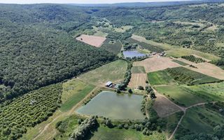 Teren de 6.2 Hectare cu Iaz propriu, lângă pădure – Vorniceni, Strășeni! - Poză 10