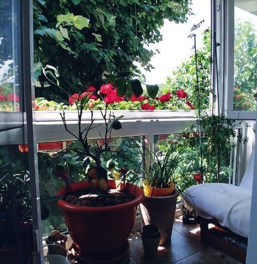 Apartament 3 camere Aparatorii Patriei S271 - Poză 10