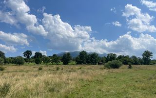 Teren de vanzare in  Tohanu Nou-Sohodol 6200 mp - Poză 8