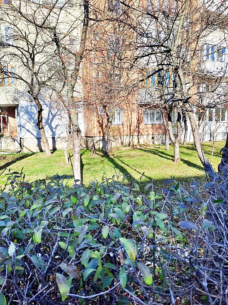 Zona Faget- Apartament cu doua camere, mobilat pentru birouri, 450 euro - Poză 15