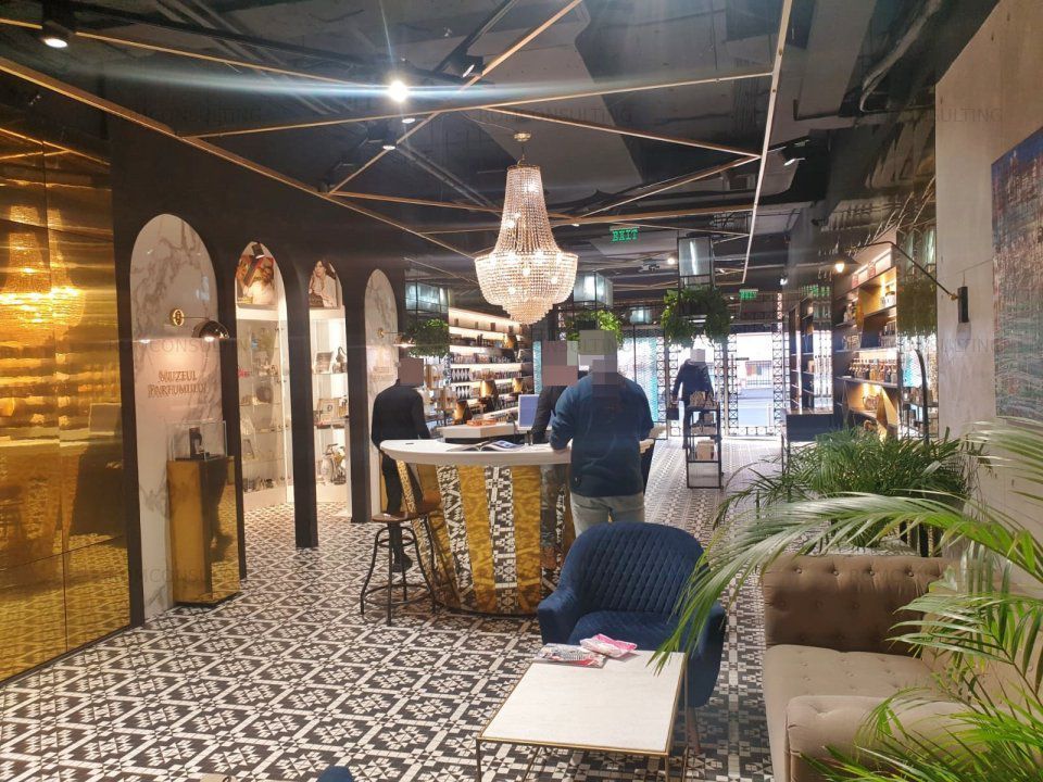 Investitie Dorobanti - Poză 5