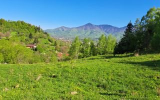 Teren extravilan de vanzare, Bistrita Bargaului- 10 minute de Colibita - Schiță 2