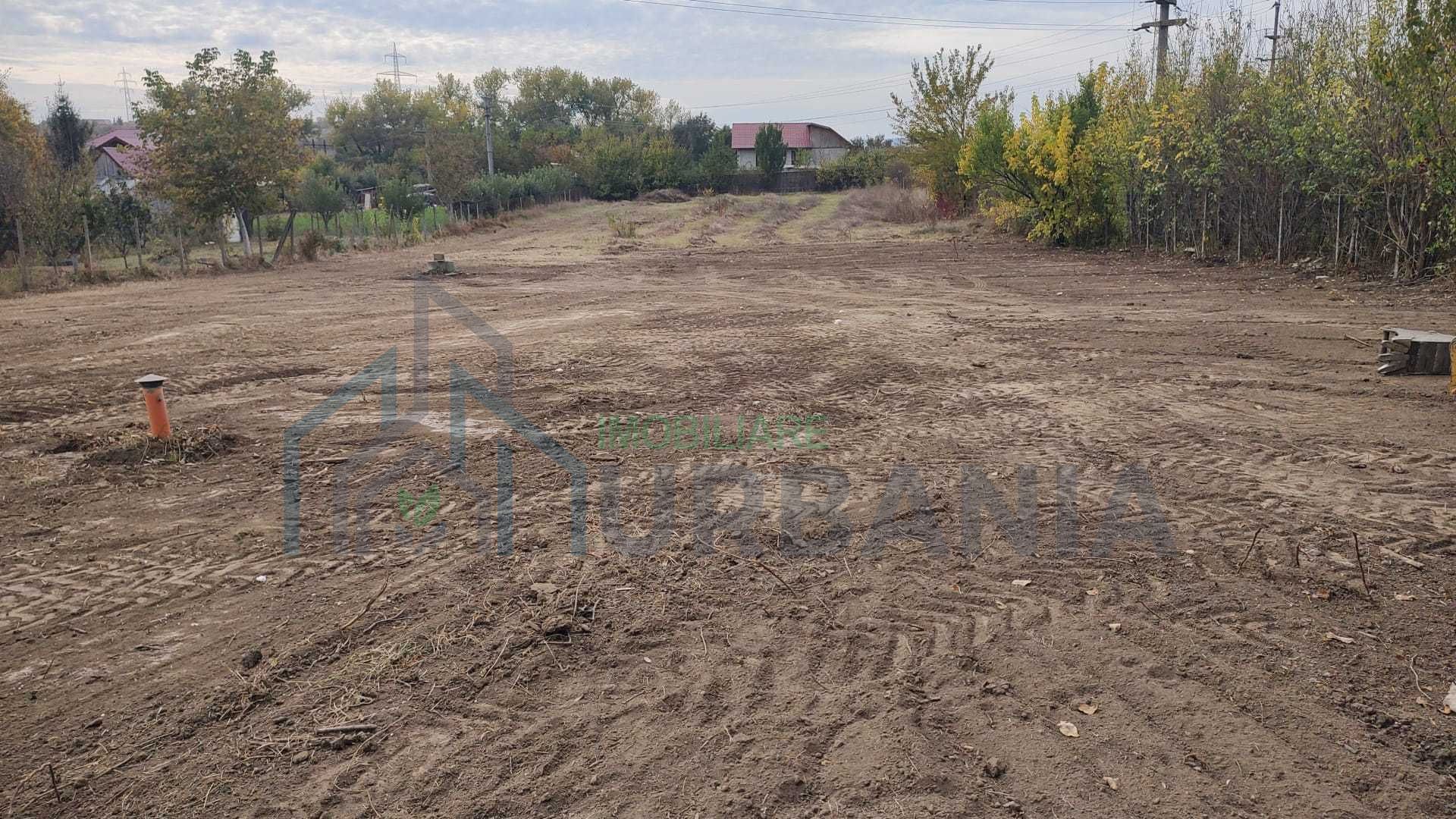 Teren intravilan 3600 mp Ciurbesti, Miroslava – ideal proiect imobiliar, schimb cu casa - Poză 5