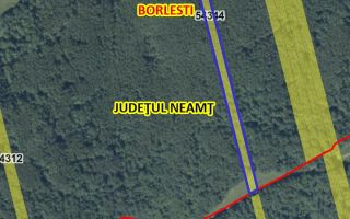 Teren forestier de vânzare, 1 ha, județul Neamț, comunele Rediu Borlești, OS Tazlău - Poză 1