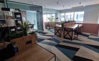 Spațiu Comercial 113mp,Chiriaș 2900€/lună,7 min de Victoriei,Proprieta - Poză 19