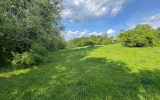 TEREN INTRAVILAN 2943 MP CAMPULUNG - Poză 2