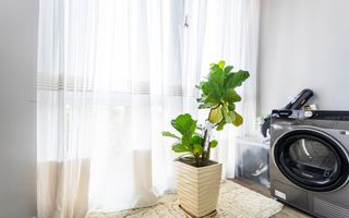 Vânzare, apartament, 2 camere, strada Florilor, Râșcani - Poză 7