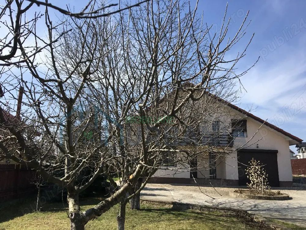 # Casă renovată 2024, panouri solare, teren 2100 mp, Lunca Cetatuii. - Poză 1