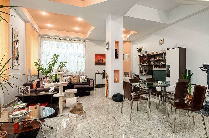 Vila pozitie excelenta | Piata Muncii - Poză 3