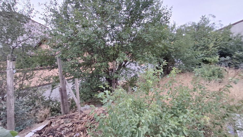 Teren de vanzare - zona Maior Colentina - Poză 8