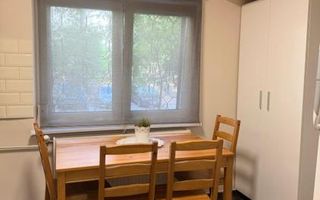 Închiriere Garsonieră Renovata, Piata Muncii - Decebal, Preț Negociabil! - Poză 8