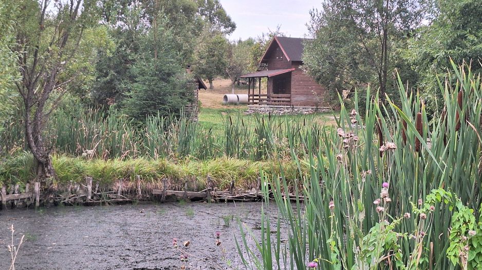 VANZARE ANSAMBLU CASUTE BRADULET ARGES - Poză 14