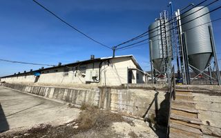 De Vânzare: Hală Modernă pentru Creșterea Porcilor – Complet Automatizată - Poză 4