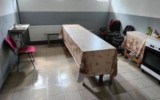 Spatiu industrial productie/ depozitare, Timiș - Poză 33