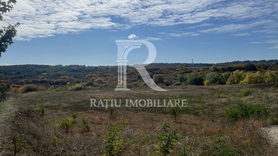 Teren intravilan 3961 MP | Paleu | Bihor - Poză 2
