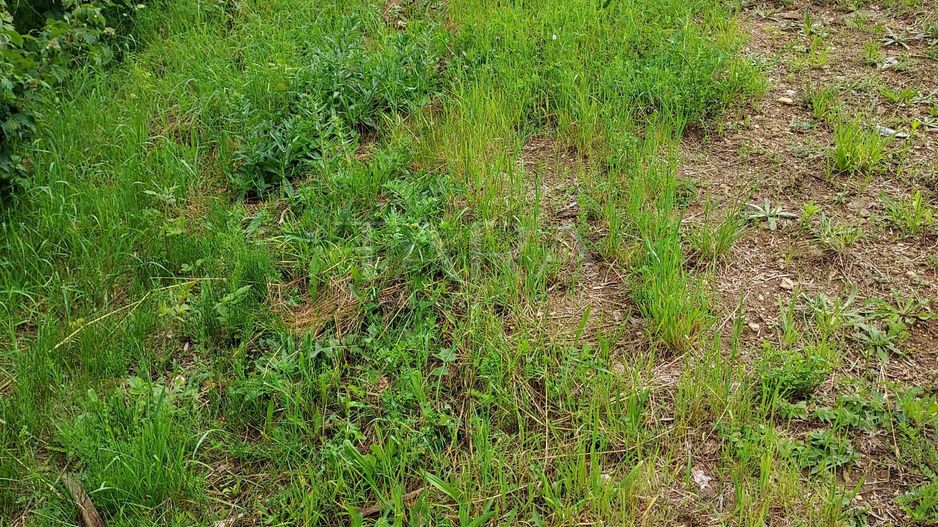 Teren de vis în Faget: Oportunitate unică pentru construirea casei tale ideale. - Poză 7