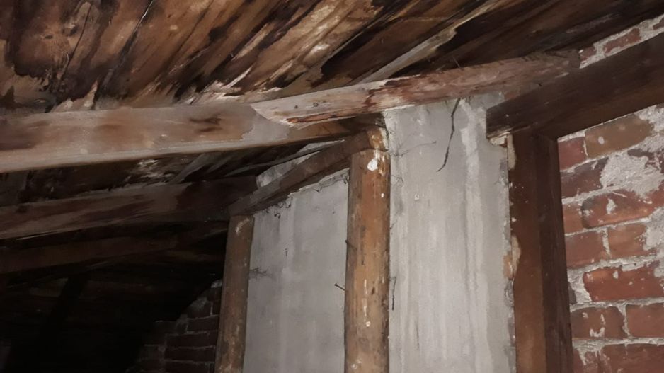 De Vanzare Apartament 3 camere + pod, in vila Ultracentral, Armeneasca - Poză 19