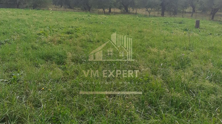 TEREN INTRAVILAN 3698 MP, CAMPULUNG, ARGES - Poză 5