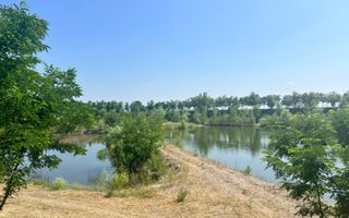 Iaz Piscicol Bacau Saucesti - Poză 8