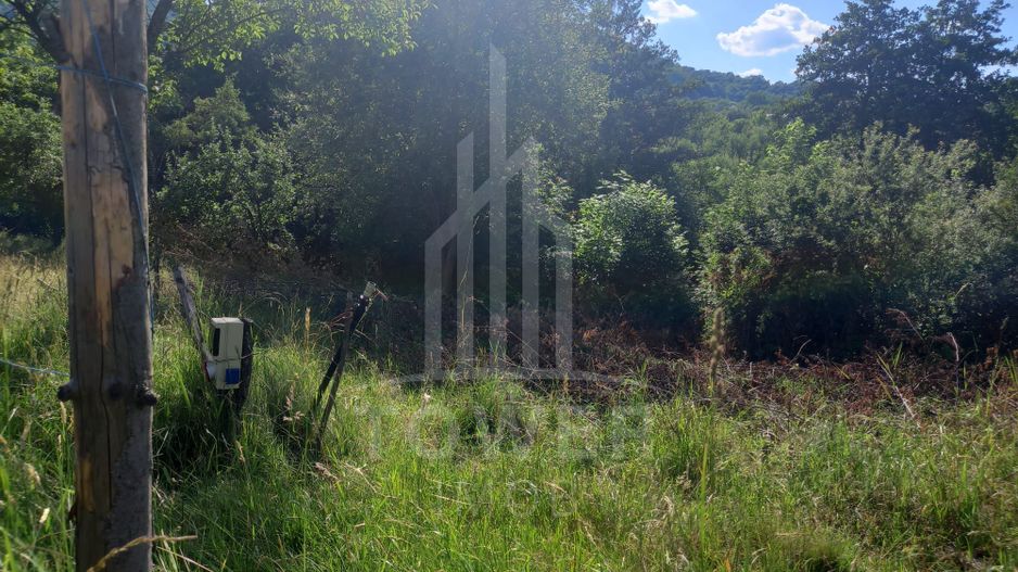 Teren în Fântânele – 3.673 mp, pârâu si cadru natural  deosebit - Poză 8